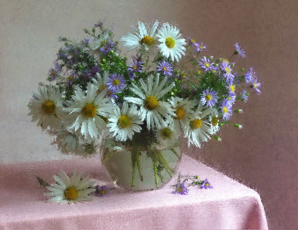 Ромашковое утро