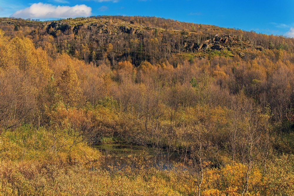 Золотая осень