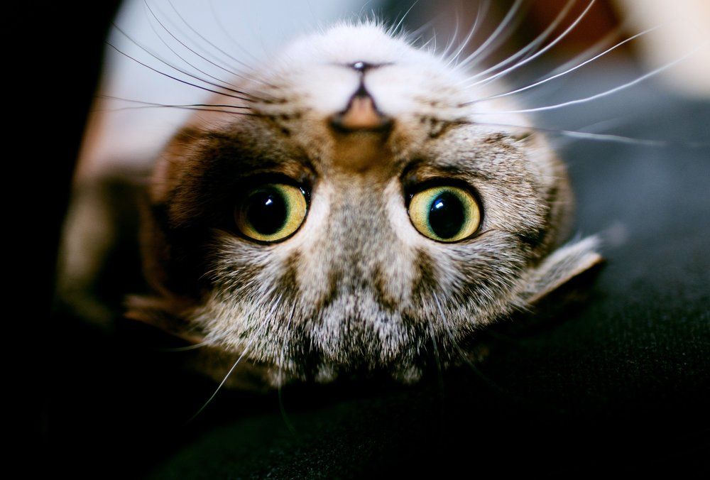 Можно и так ...