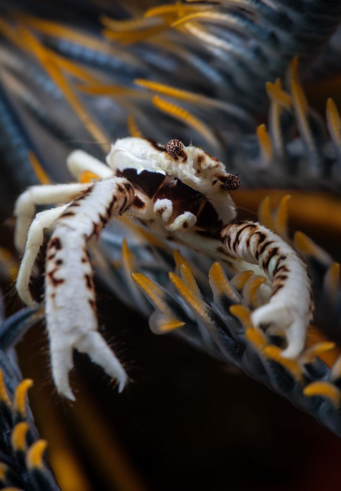 Photograph by Нонна Покрас