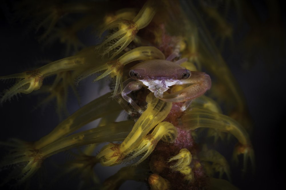 Photograph by Нонна Покрас