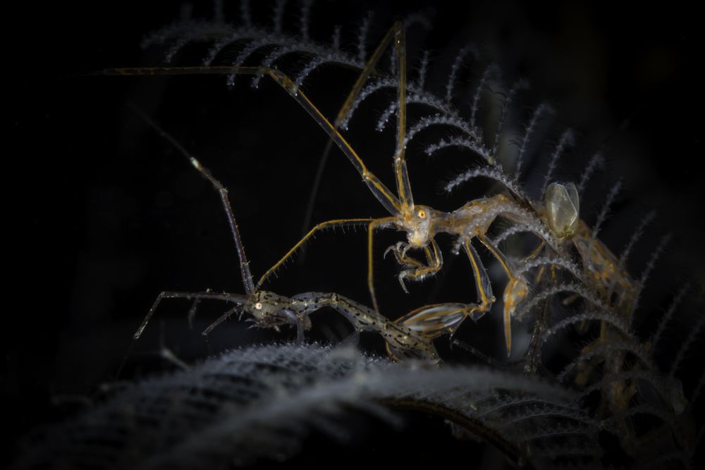 Photograph by Нонна Покрас