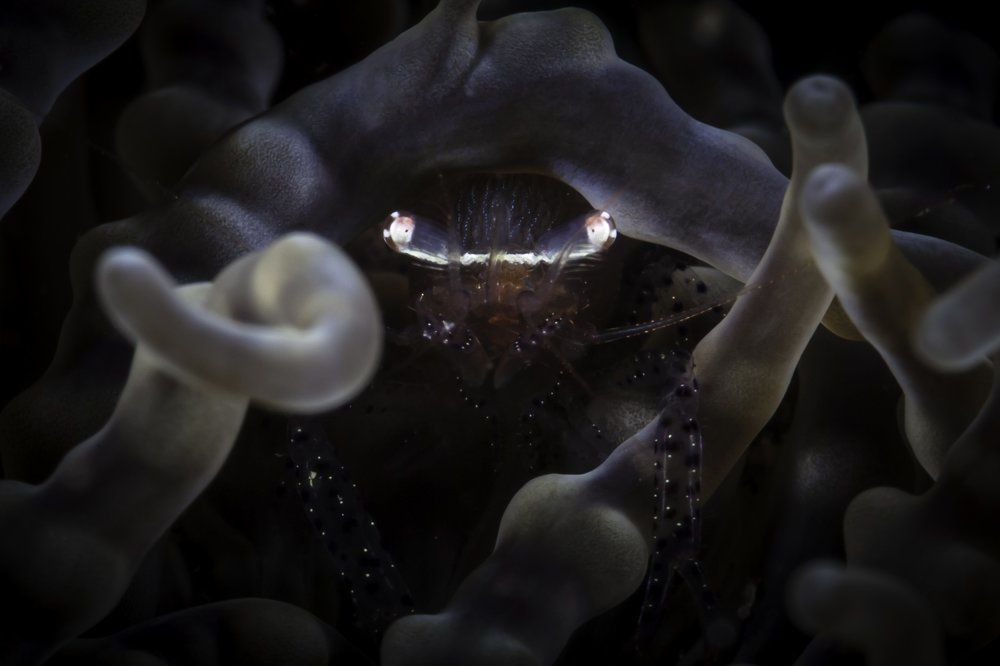 Photograph by Нонна Покрас