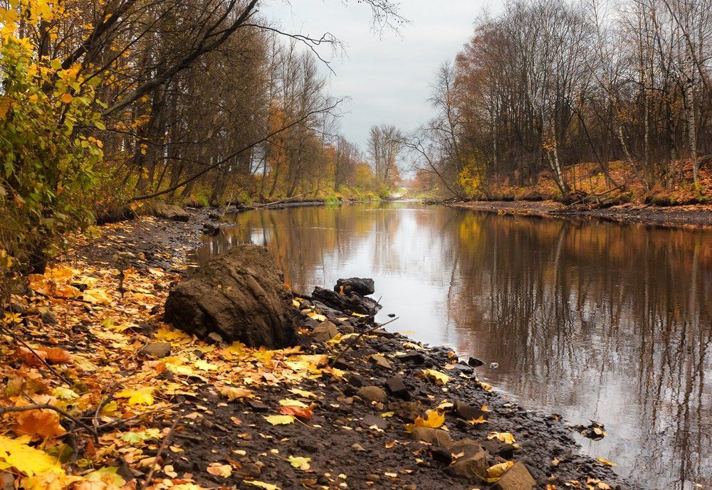 Photograph by Алексей Герасимов