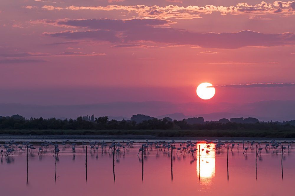 Закат в Камарге (Прованс)