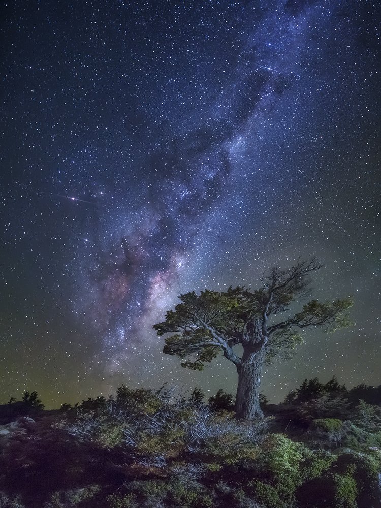 Звёзды Патагонии