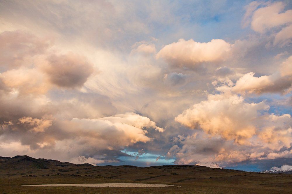 Вечер у Толбачика