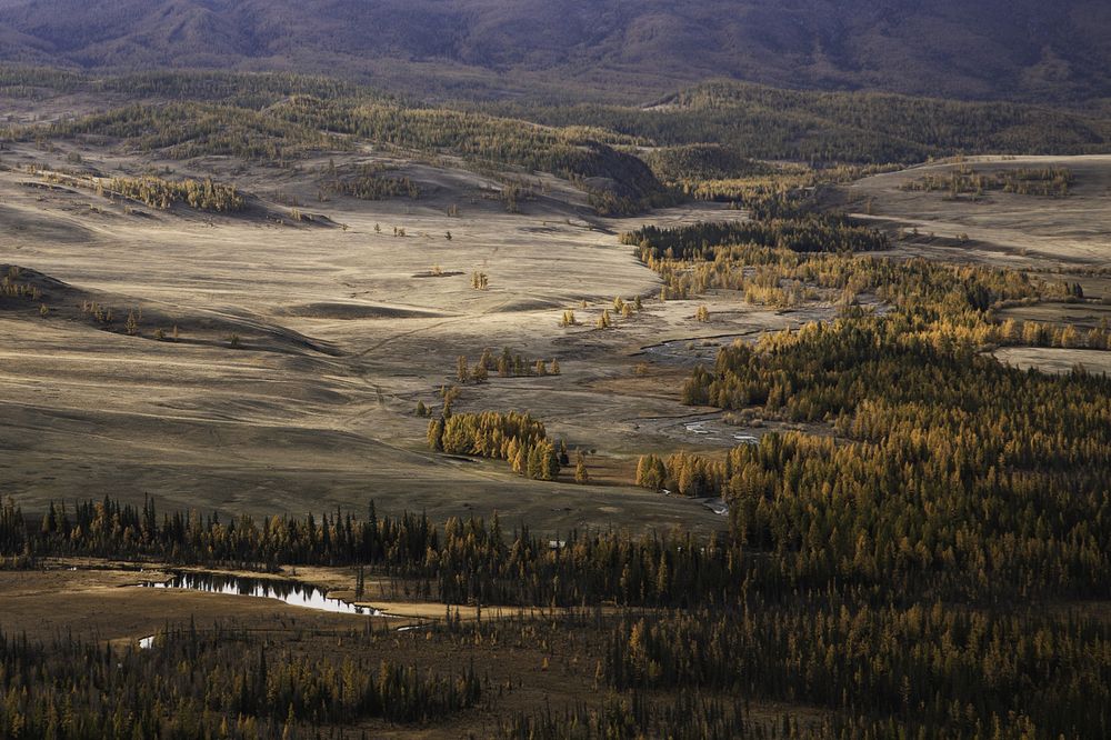 Курайская степь