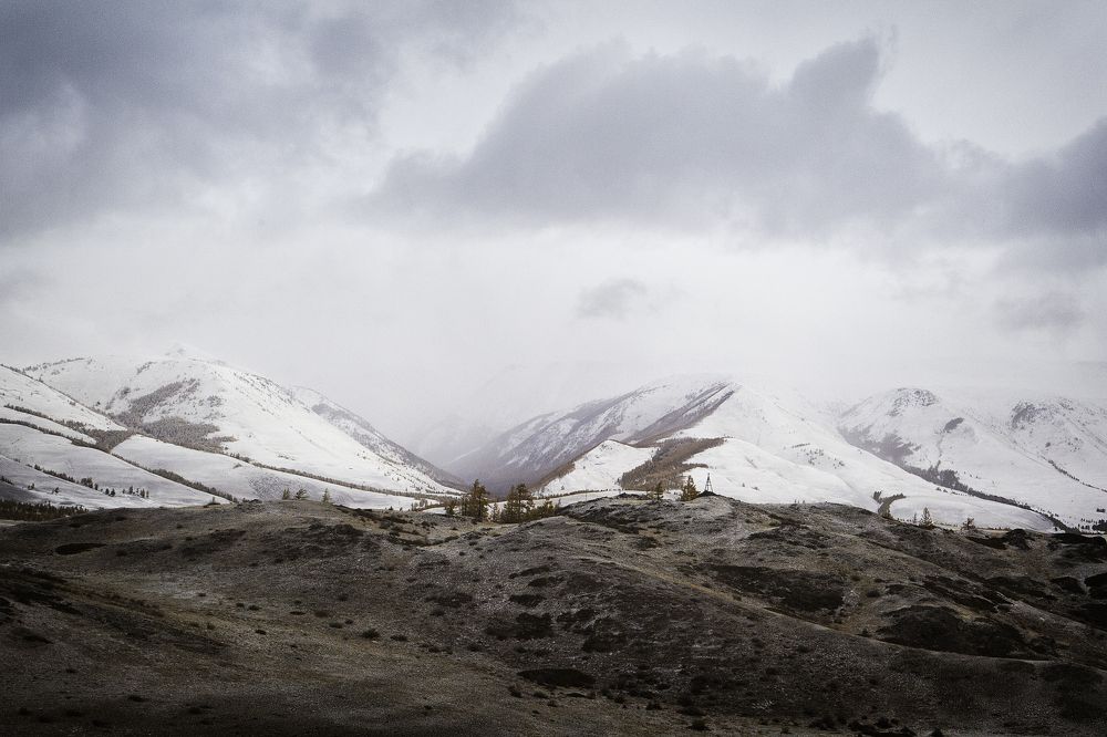 Алтайсикие горы