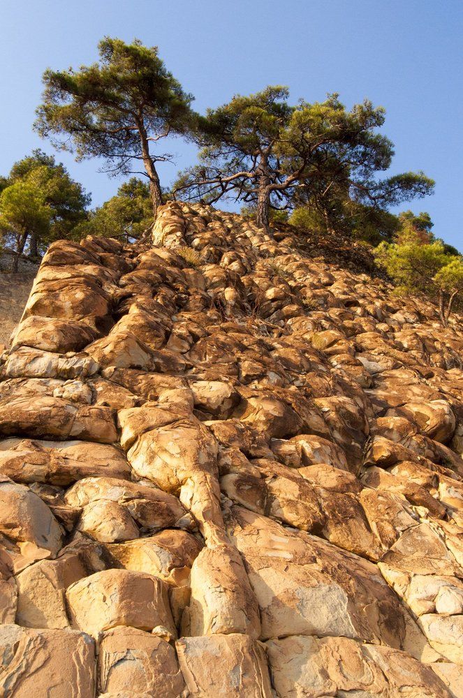 Рыжие камни