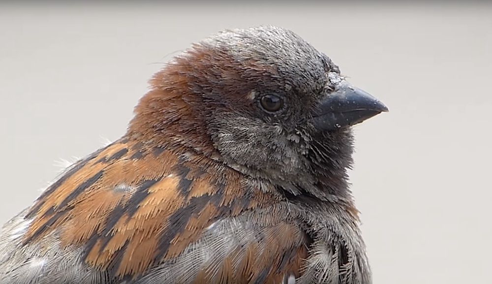 Photograph by Анастасия