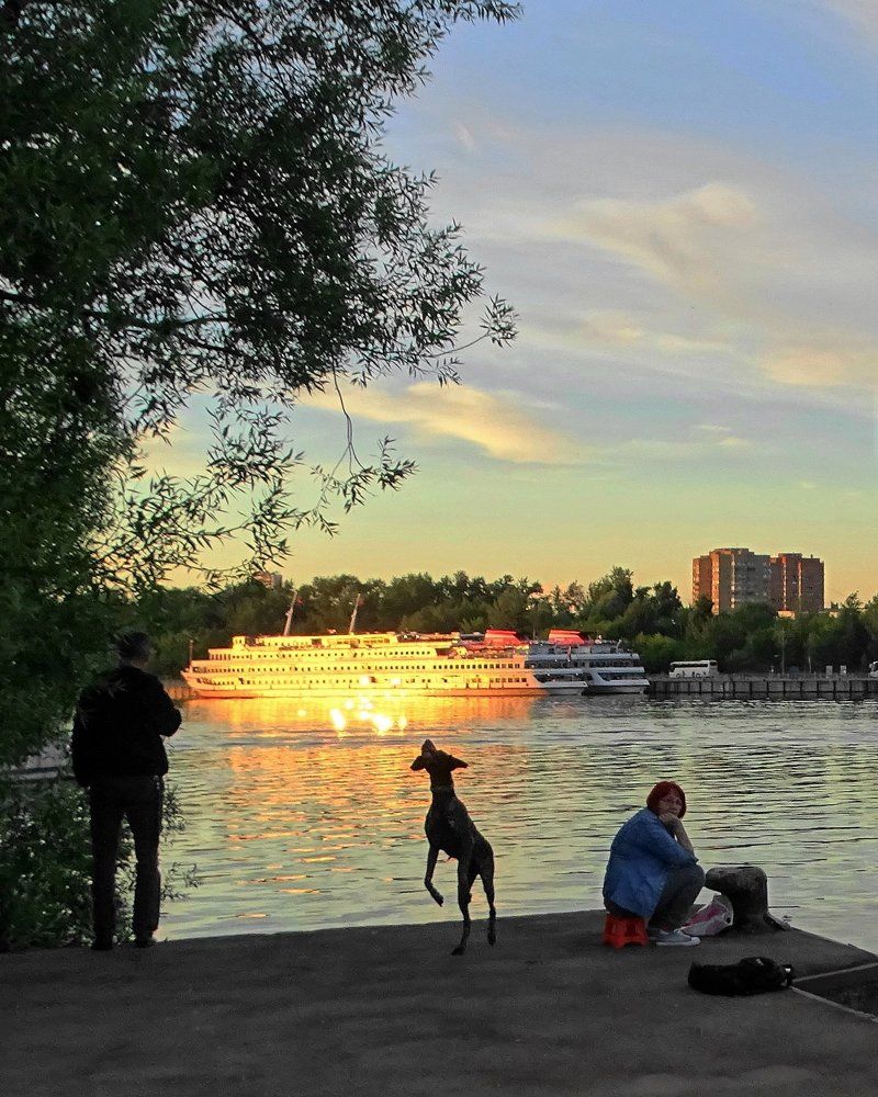 Жанровая сцена на закате