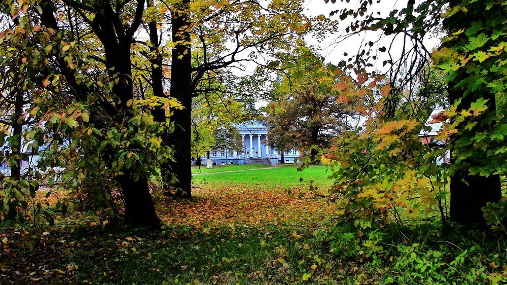 Осень в парке