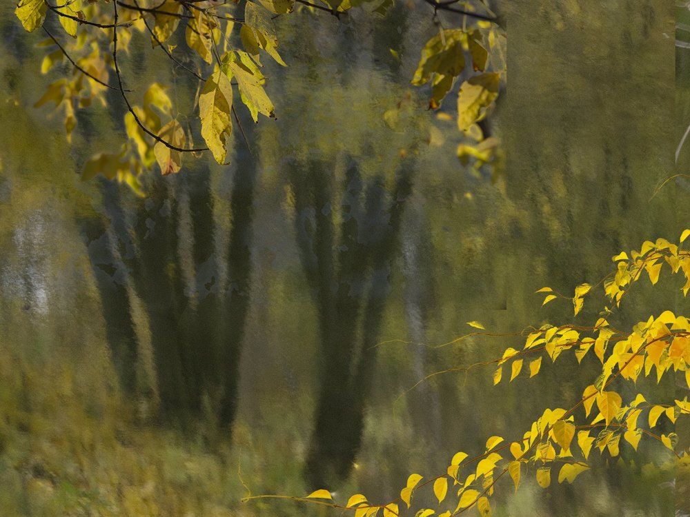 Краски осени