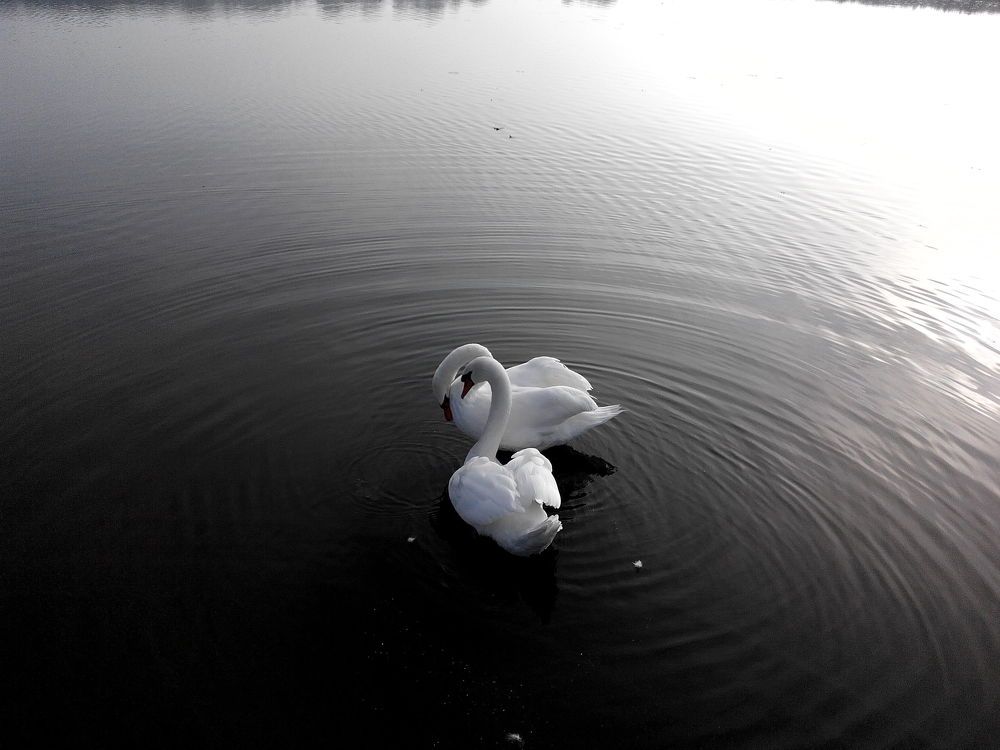 Photograph by Биша Екатерина Васильевна