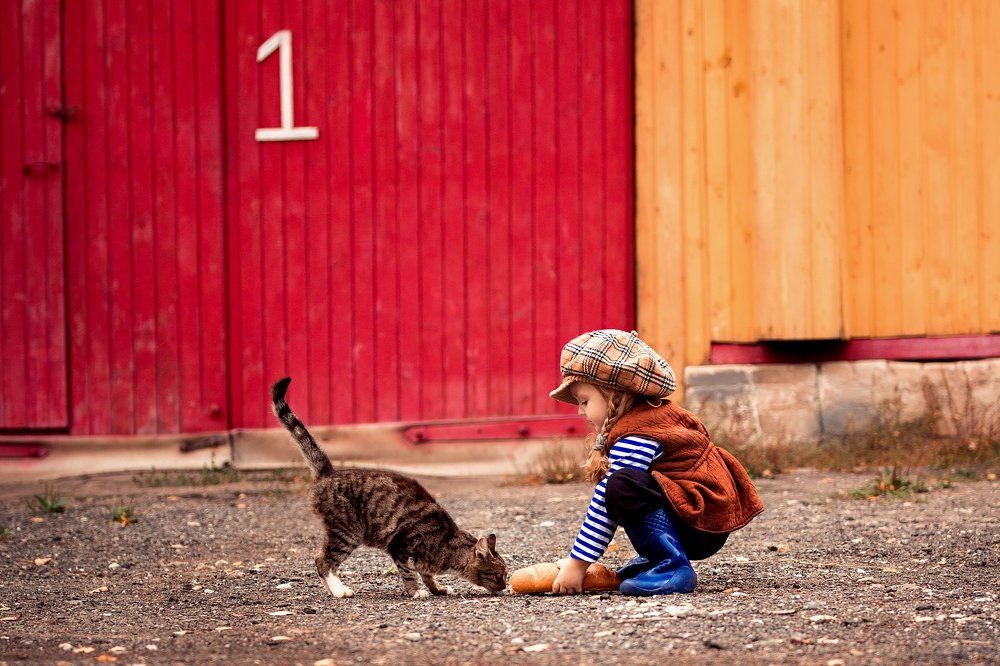 Photograph by Сухарь Александр