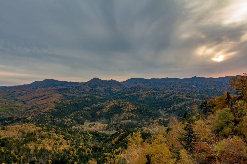 осенний Сахалин
