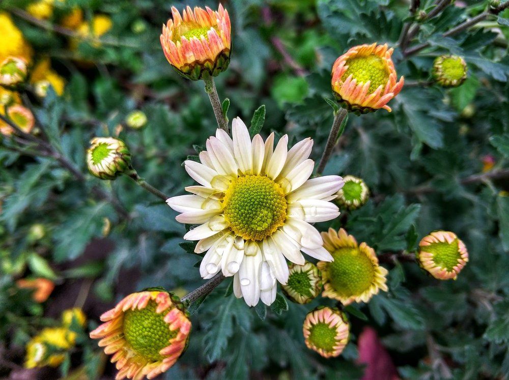 Photograph by Евгения Данигевич
