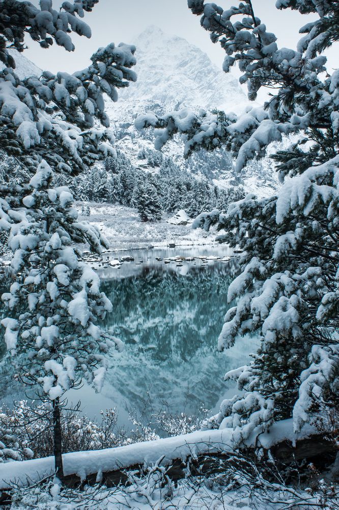 Let it snow. Пусть идет снег!