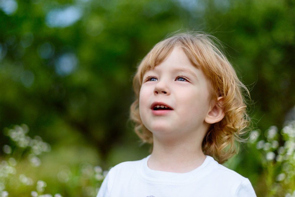 Photograph by Молостов Виктор