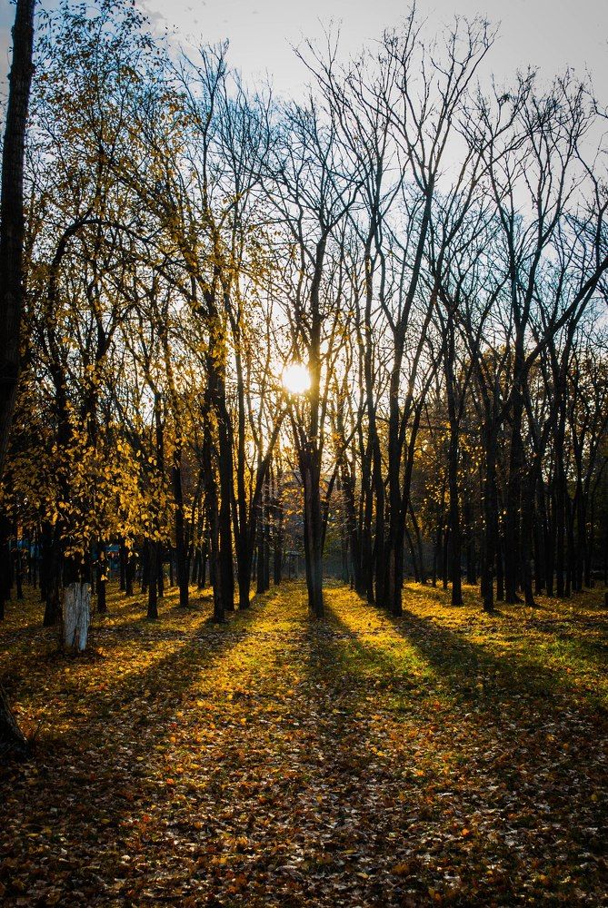 Сказочная осень