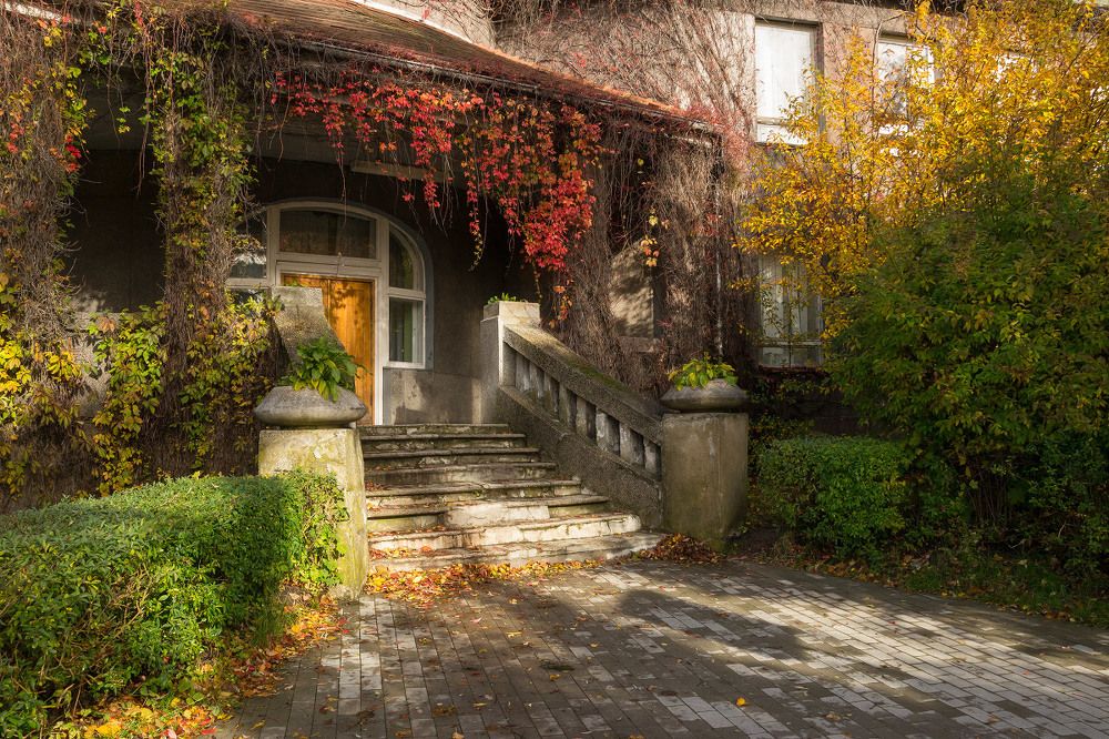 Осени уютное убранство