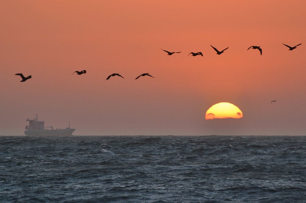 Уходит до завтра