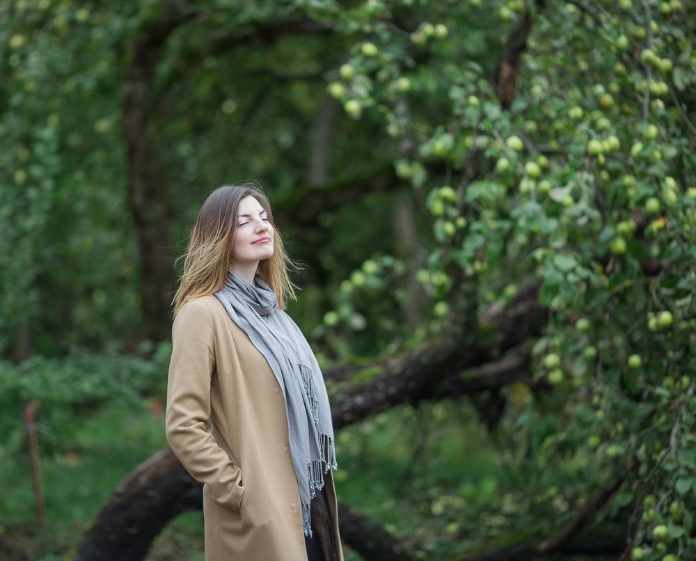 Яблоневый сад