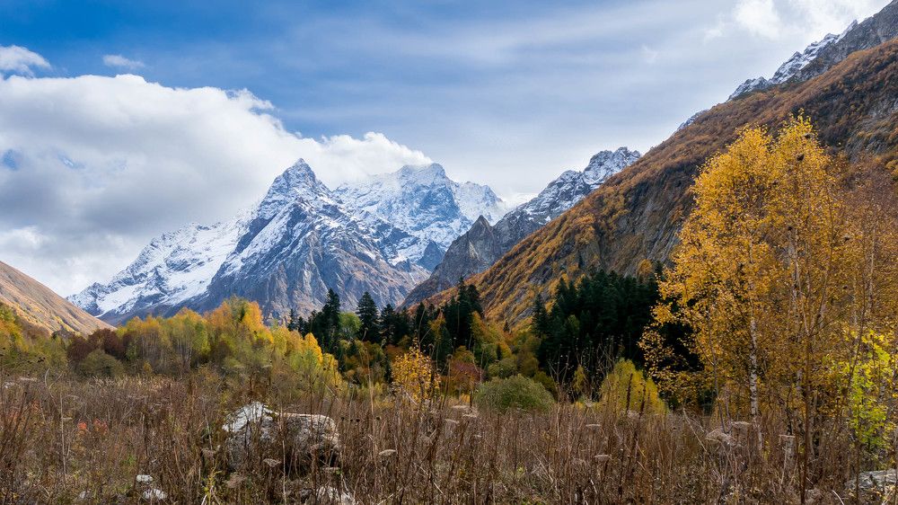 Возвращение к истокам