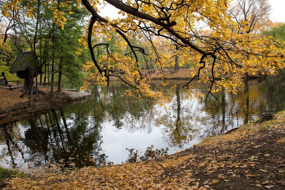 Воспоминания из детства