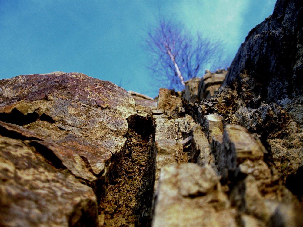 Photograph by Andrij Katrij