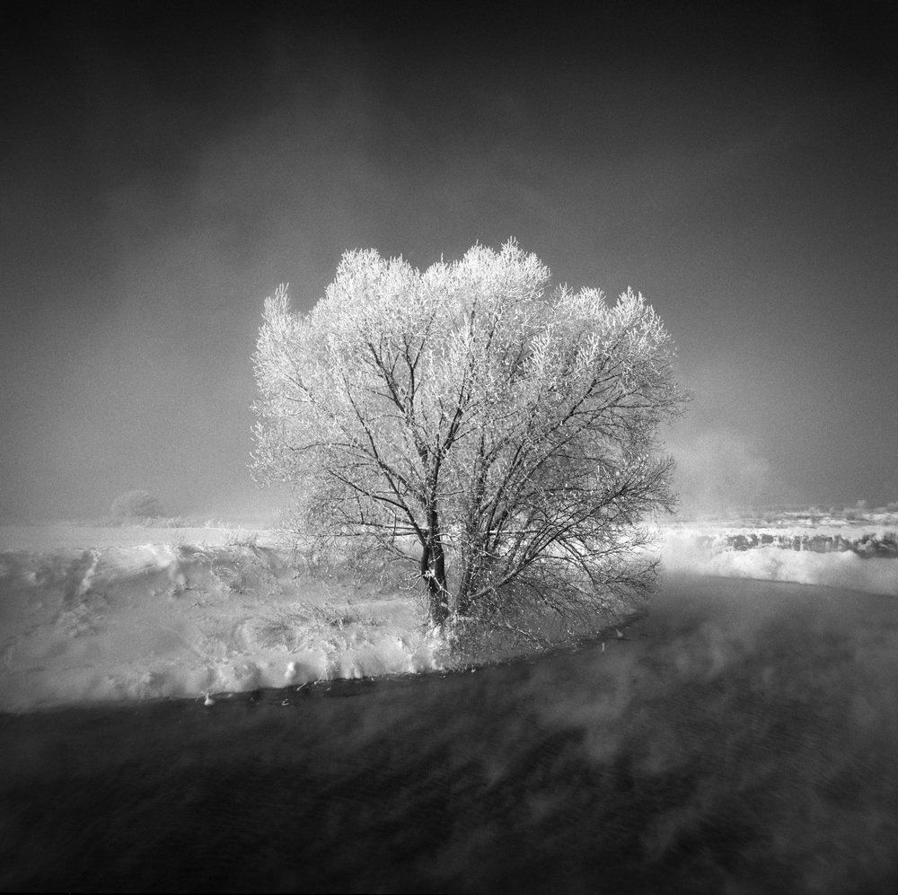 Река Пехорка