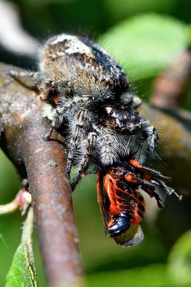 Большому куску...