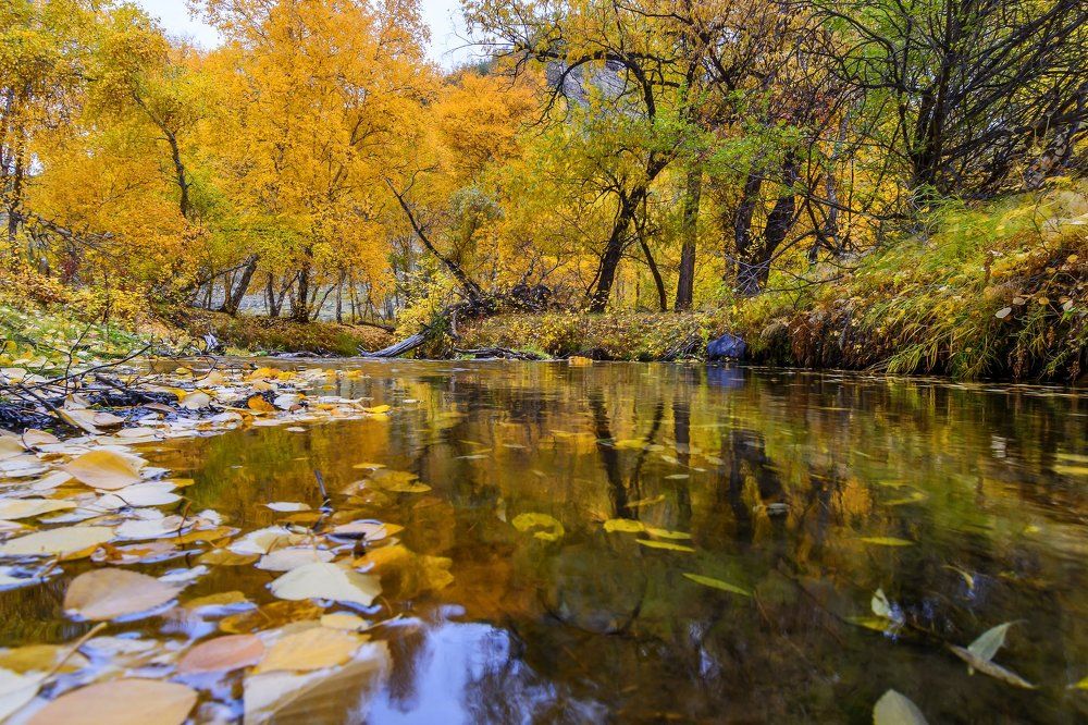 Течение времени