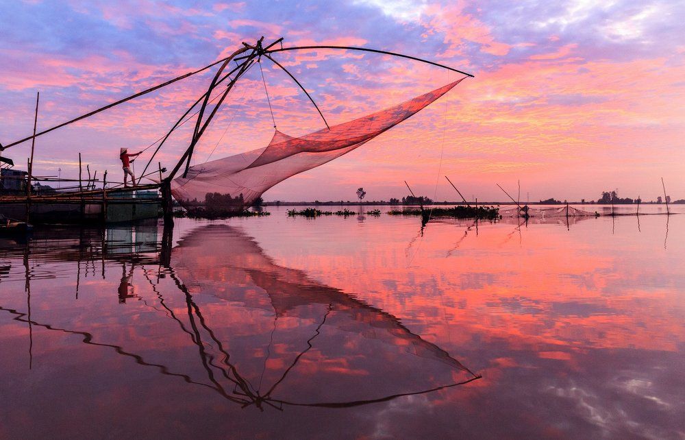 Harvesting fish from fish lift net