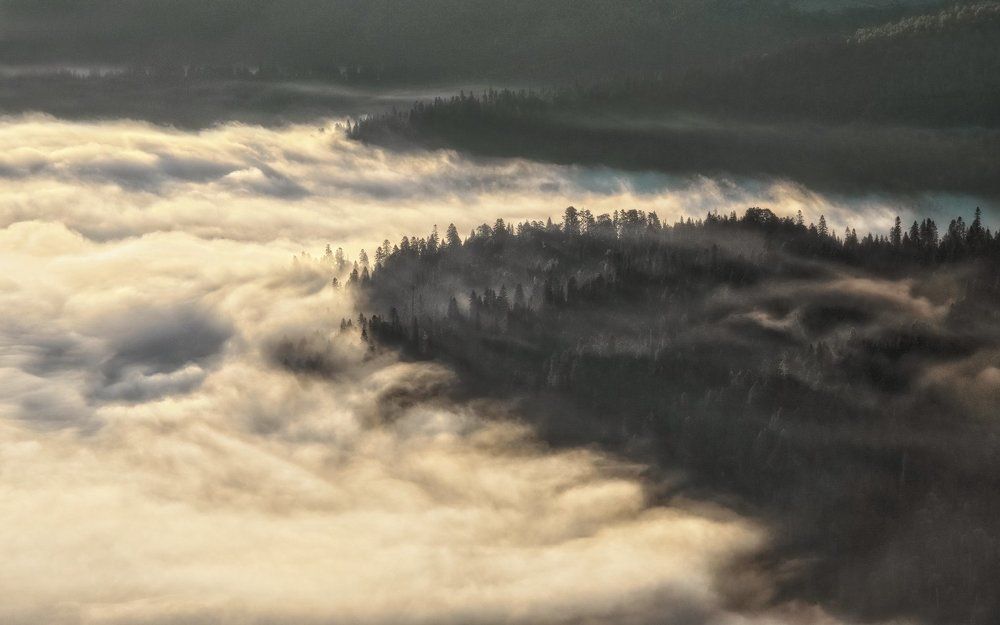 На берегах рассветного тумана...