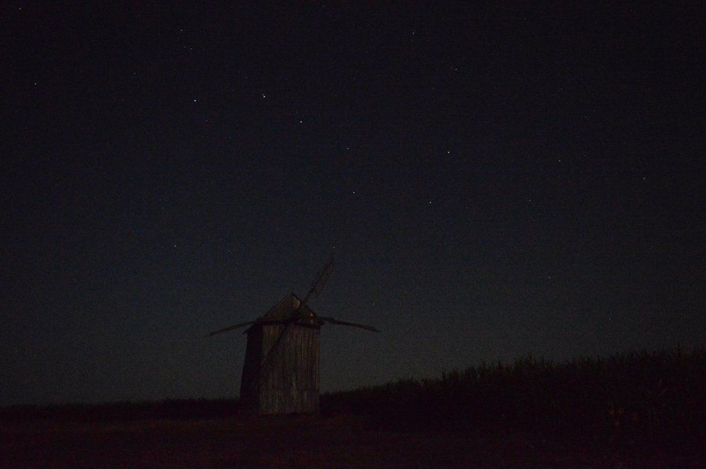 Вартовий