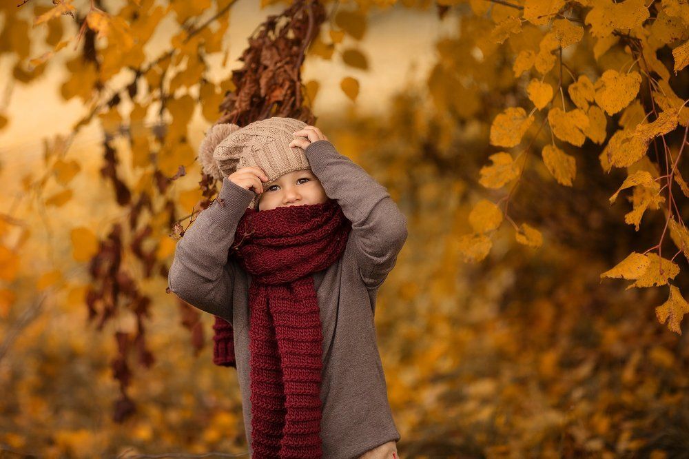 Осенний гномик