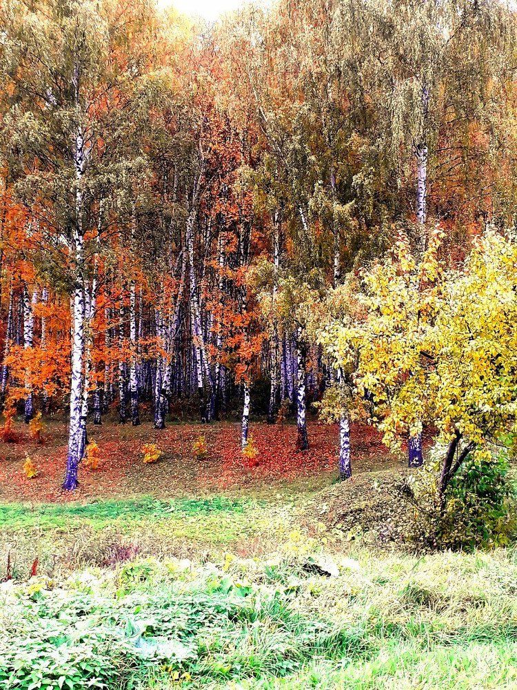 Краски осени