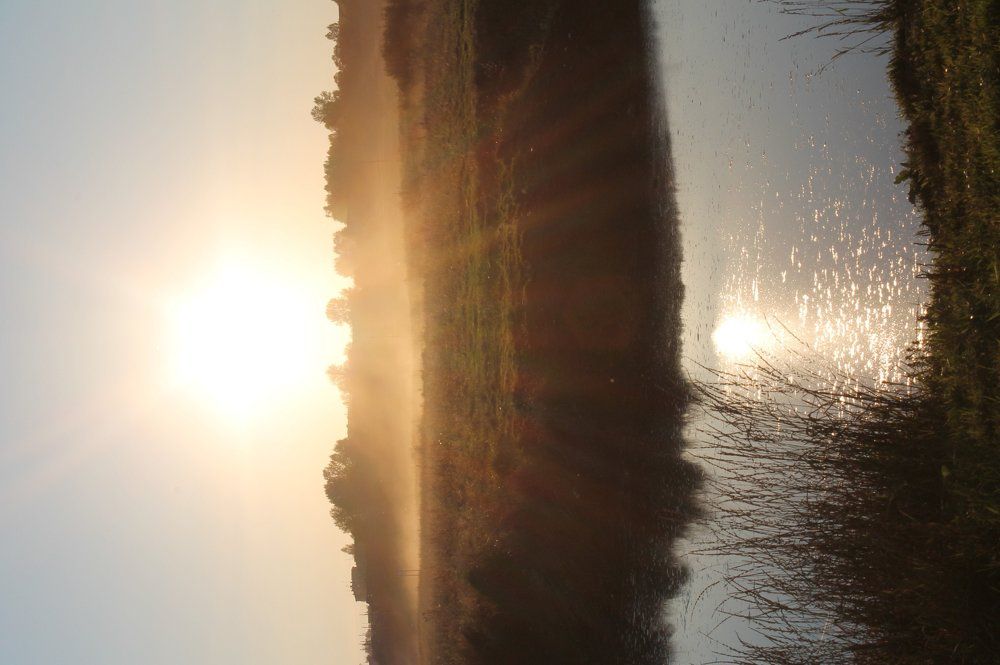 От топота копыт, пыль по полю летит...
