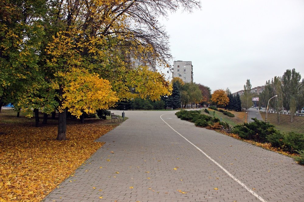 Осень в городе