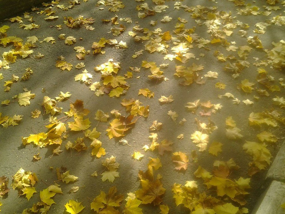 Photograph by Анюта
