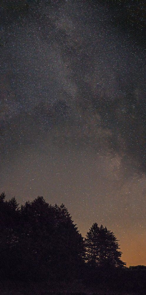 Photograph by Halyna Nechyporuk