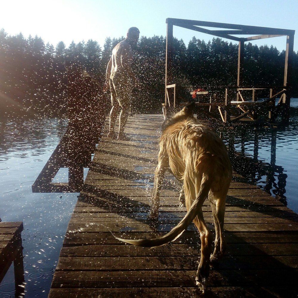 Мокрый хвост