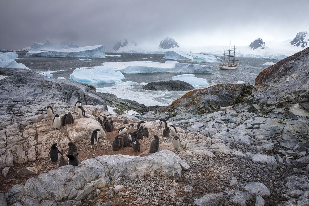 У берегов Антарктиды