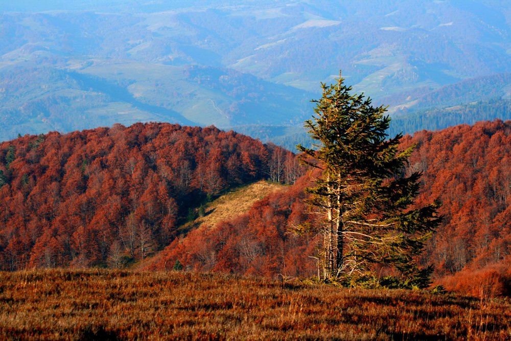 Красные горы