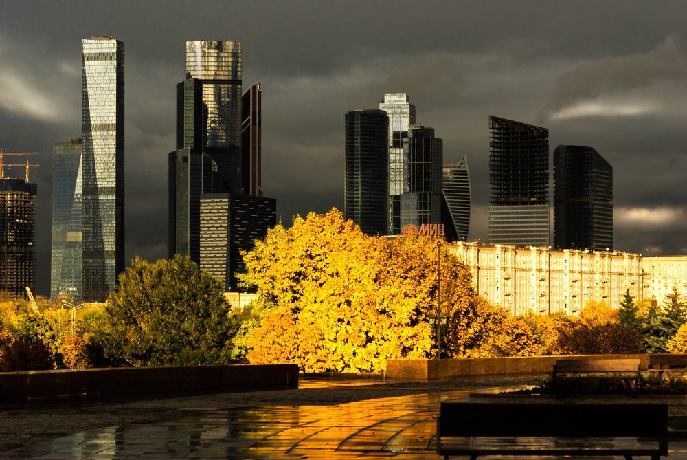 Сила света.