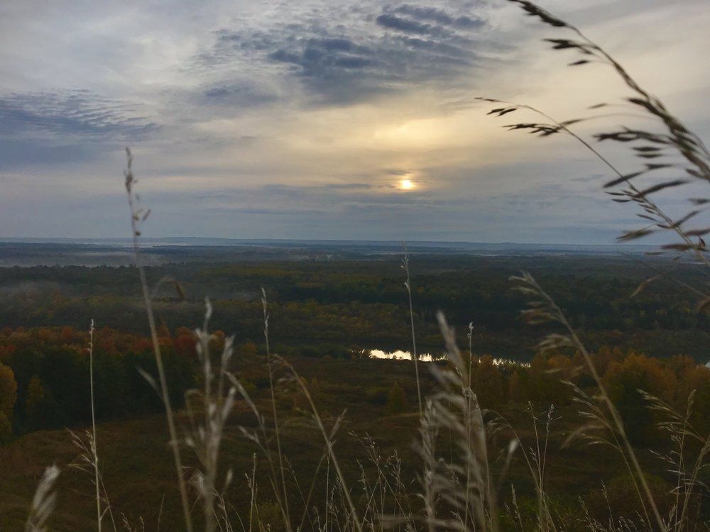 Тихое утро на Суре