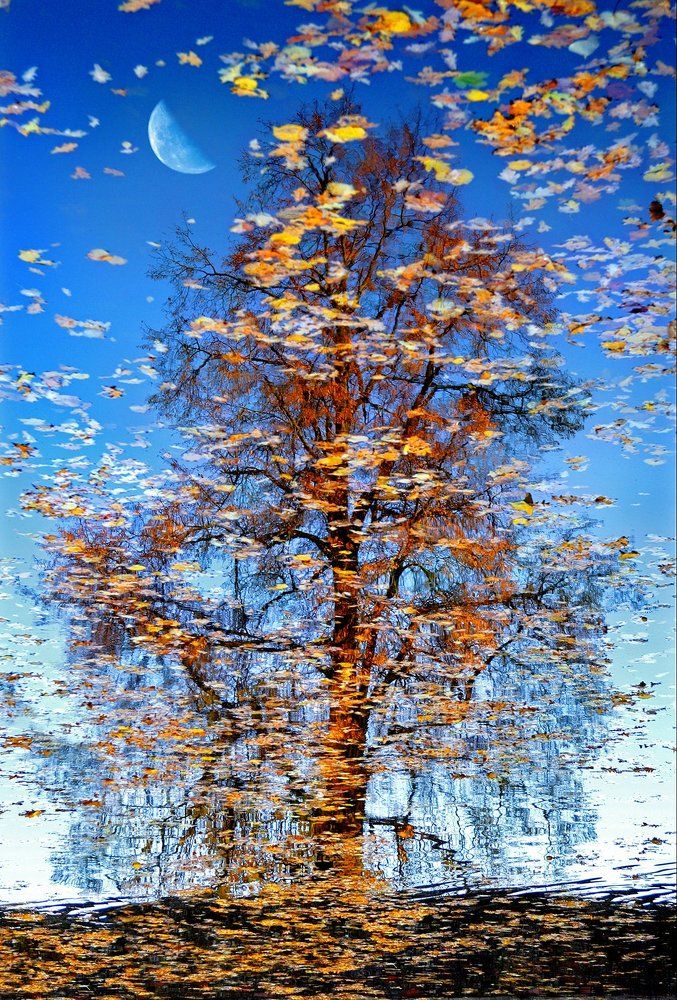 Волшебное зеркало