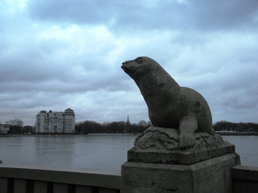 Жители Верхнего озера